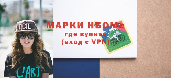 хмурый Алексин