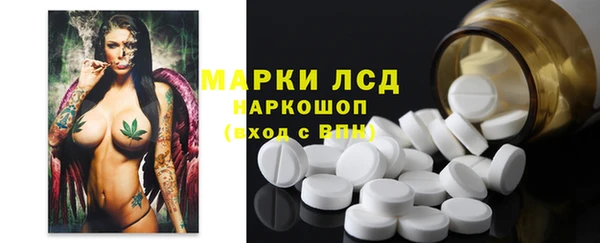 хмурый Алексин