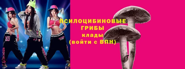 хмурый Алексин
