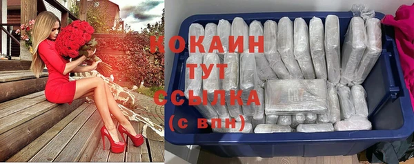 хмурый Алексин