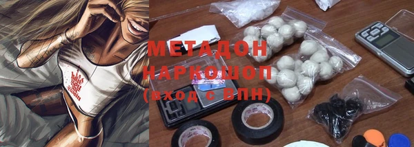 хмурый Алексин