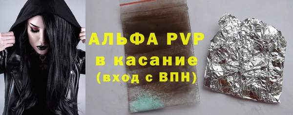 хмурый Алексин