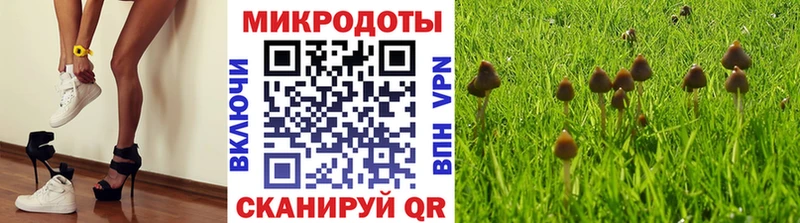 Псилоцибиновые грибы ЛСД  площадка телеграм  Хвалынск  как найти наркотики 